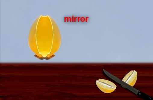 Creation of Lemons: Step 26
